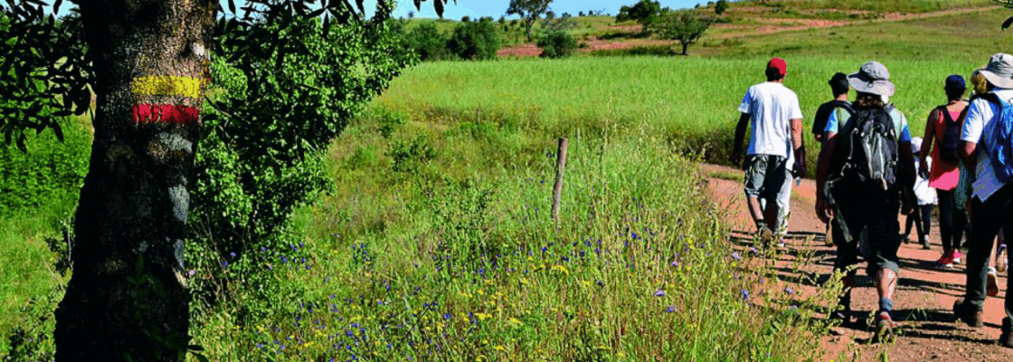 Alentejo Walking Festival 2025 – Caminhadas do Alentejo